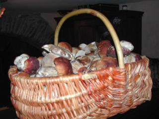 Le Grenier d'Annick - 5