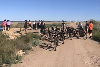 Casa Faro - Camarles - 3