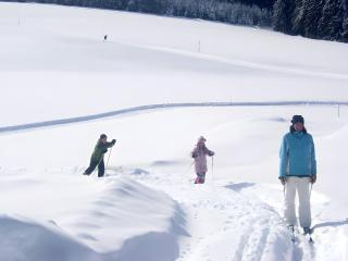 Holzhof - 5