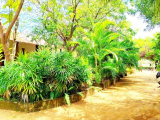 Coconut Bungalow - 7