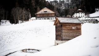 Burgfrieder Mühle - 5