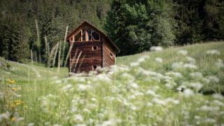 Burgfrieder Mühle - 4
