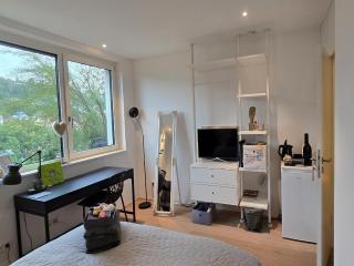 Stadtnahes Gästezimmer Im Penthouse - 4