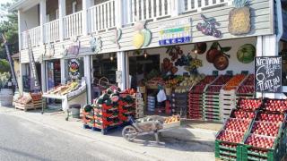 La Tomate Surfeuse 2 - 3