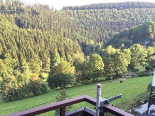 Ferienwohnung Nordenau - Schmallenberg - 5
