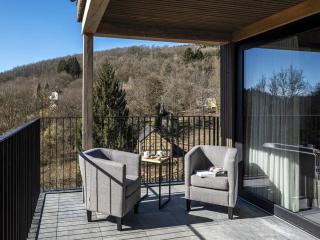 Villa in Belgium with Private Terrace - 2