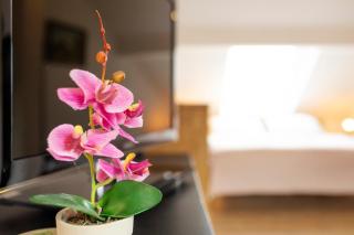 Ferienwohnung in Potsdam - 6