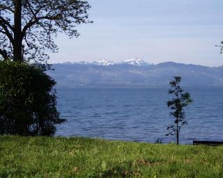 Baumanns Ferienhof Am See - 8