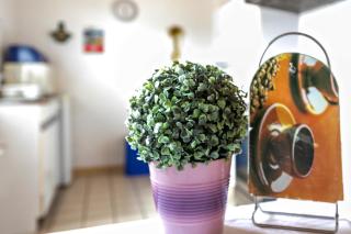 Haus Anita - Ferienwohnung Eg - 8