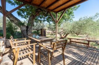 Casa Arbol - 1