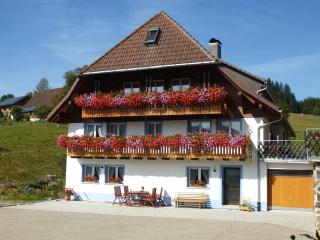 Gästehaus Josenmühle - 5