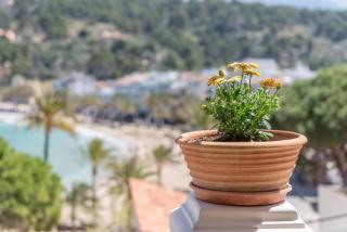 Can Joi - Sóller - 7
