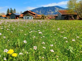 Ferienwohnung Geierstein - 6