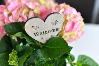 Dinkelbach Traumblick 3 E - 8