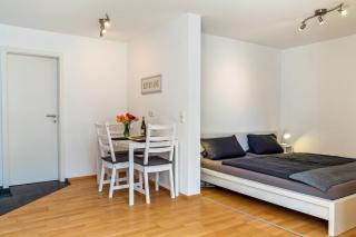 Ferienwohnung Lehen - Herr 1 - Freiburg im Breisgau - 9