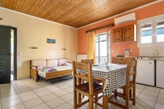 Lefkothea apartment 1 - Lefkada - 6
