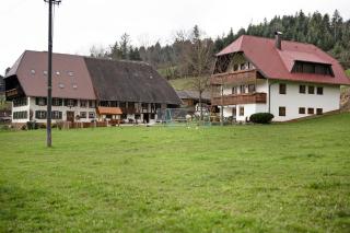 Schlegelhansenhof - 9