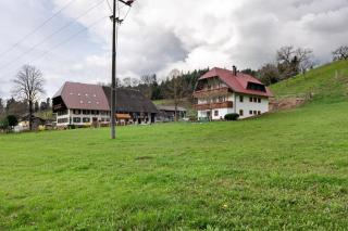 Schlegelhansenhof - 8