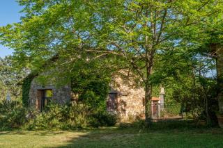 Stella Nord Podere Carbone - 6