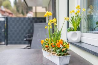 Ferienwohnung Rennbächle - 8