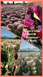 mobil home camping familial bord ardèche - 8