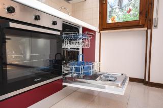 Prato Verde - Girasole - 1