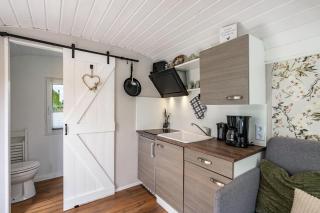 Amselnest - 5