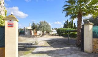 Collet De Manacor - 6