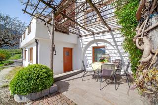 Fröhlichhof Wohnung Pergola - 7