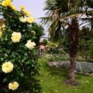 Ferienwohnung Dauth - 6