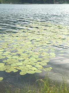 Appartment Isabelle - Kamille - 5