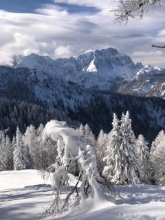 Appartment Isabelle - Kamille - 1