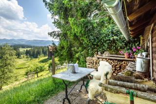 Ferienwohnung Harmonie - 4