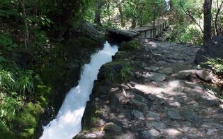 Pritscheshof Ferienwohnung Balkon - 6