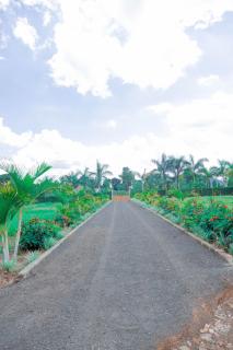 Rhovee Homes - 9