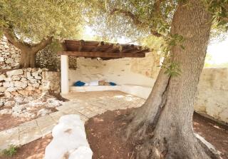 Trullo Agapanthus With Panoramic - 2