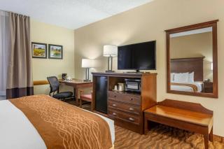 Comfort Inn & Suites Branson Meadows - Branson - 2