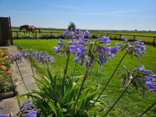 Haus Wiesenblick - Epenwöhrden - 9