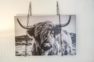 Ferienwohnung Schwarzwaldliebe - 3