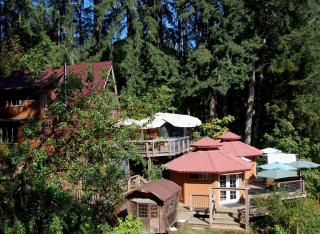 Hillside Deck Cottages - Rustic PNW Retreat cottage - 0