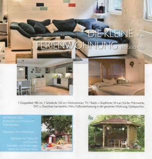 Hof Islandpferde von der Holstenau - 6