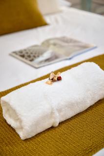 Romantic Apartment N6 Oceanografico Virkin Suites - Valencia - 3