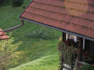 Schwarzwald Buchenhof - 1