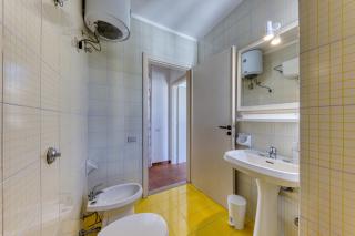 Bouganville - 6