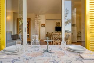Bouganville - 8