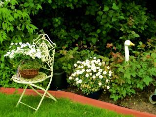 Studiowohnung mit dem gemütl Flair - 5