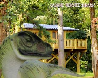 La Lodge Perchée Jurassic - 5