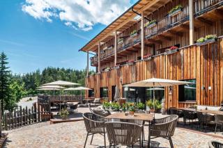 Schartneralm Lärche - 6