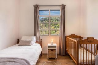 Casa da Olides - T3 and Studio - 1