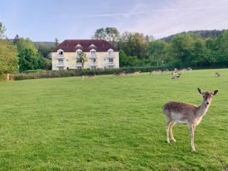 Aktiv-Card - In Villa - Sauna - Garten mit Rehgehege - Terrasse - Frühstück - Blick ins Grüne - SKI - Arber - Osser - Lindners Hideaways - Gutshof Pine Retreat - 8